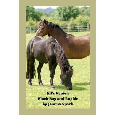 Jill's Ponies: Black Boy and Rapide