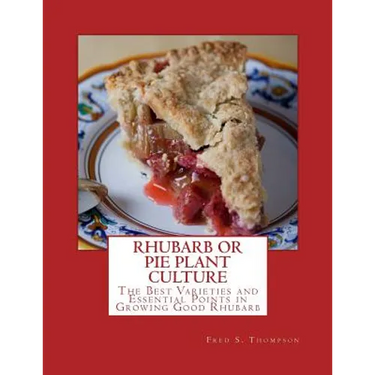 Rhubarb or Pie Plant Culture: The Best Varieties of Essential Points in Growing Good Rhubarb