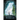 Spirit of the Forest