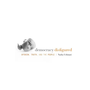 Democracy Disfigured