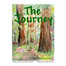 The Journey Life Lessons with Diane the Turtle