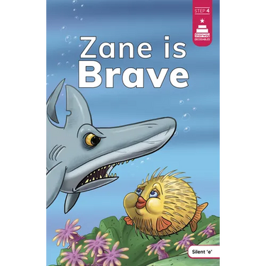 Zane Is Brave