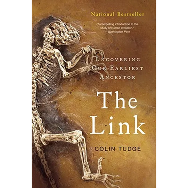 The Link
