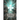 The Genesis Code
