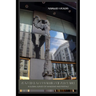 Seas of Glass and Barriers of Substance: A Global Survey of Windows and Portals