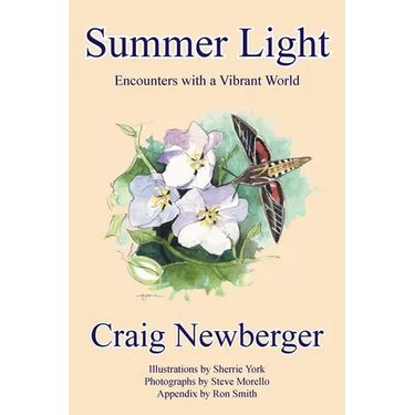 Summer Light: Encounters with a Vibrant World