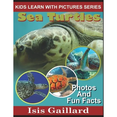 Sea Turtles: Photos and Fun Facts for Kids