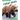 Kodiak Bears