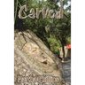 Carved