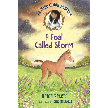 Jasmine Green Rescues: A Foal Called Storm