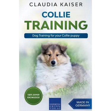 Collie Training - Dog Training for your Collie puppy