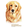 Internet Password Organizer: Golden Retriever Dog (Password Log Book)
