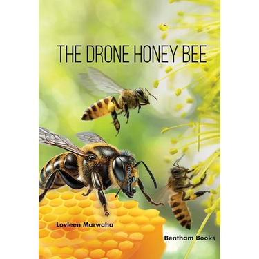 The Drone Honey Bee