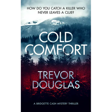 Cold Comfort: A Mystery Thriller with Twists