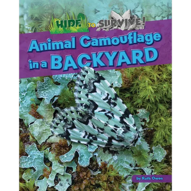 Animal Camouflage in a Backyard