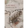 Rare Bird