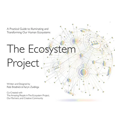 The Ecosystem Project: A Practical Guide to Illuminating and Transforming Our Human Ecosystems