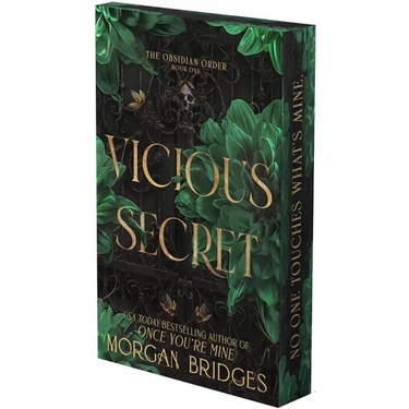 Vicious Secret: A Dark Romance