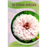 30 Zinnia species: Make the right choice