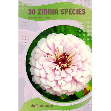 30 Zinnia species: Make the right choice