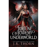 Fortune Academy Underworld: Book Five