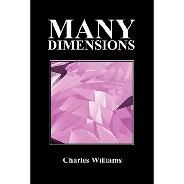 Many Dimensions (Paperback, New Ed.)