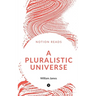 A Pluralistic Universe