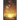 The Camera