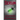 Serum