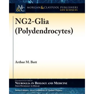 NG2-Glia (Polydendrocytes)