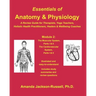 Essentials of Anatomy and Physiology - A Review Guide - Module 2: For Therapists, Yoga Teachers, Holistic Healers & Wellbeing Coaches