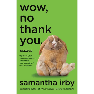 Wow, No Thank You.: Essays (Lambda Literary Award)