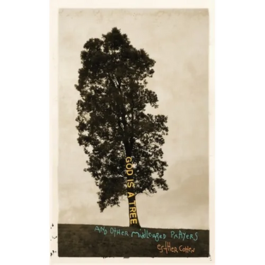 God Is a Tree: and Other Middle-Aged Prayers