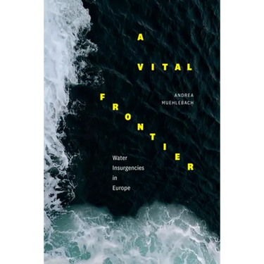 A Vital Frontier: Water Insurgencies in Europe