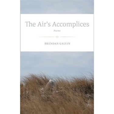 The Air's Accomplices: Poems