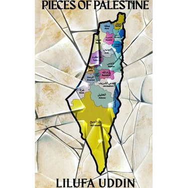 Pieces of Palestine: a collection of poems