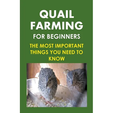 Quail Farming For Beginners: The Most Important Things You Need To Know