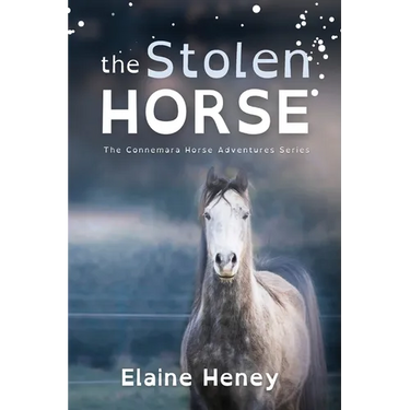 The Stolen Horse - Dyslexia Friendly