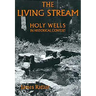 The Living Stream: Holy Wells in Historical Context