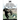 White devils! "Monte Cervino" Alpine Ski Battalion 1941-1943