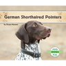 German Shorthaired Pointers