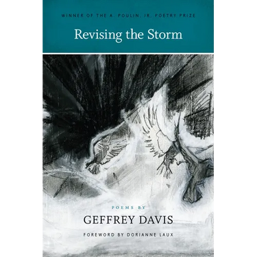 Revising the Storm
