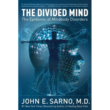 The Divided Mind: The Epidemic of Mindbody Disorders
