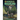 Order of the Night Jay (Book One): The Forest Beckons