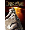 Tewdric of Wales: Saint, King, Warrior, Martyr