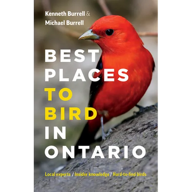 Best Places to Bird in Ontario