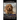 Cavoodles, Cavoodle Training Book for Cavoodle Dogs & Cavoodle Puppies By D!G THIS DOG Training, From the Car Ride Home Training Begins, Cavoodle Book