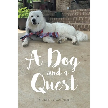 A Dog and a Quest