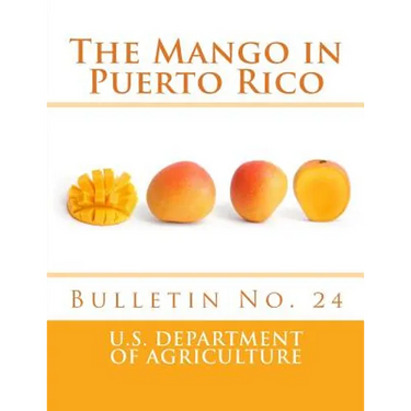 The Mango in Puerto Rico: Bulletin No. 24