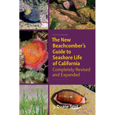 The New Beachcomber's Guide to Seashore Life of California: Completely Revised and Expanded